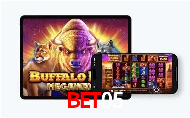 Recursos de Bônus bet05
